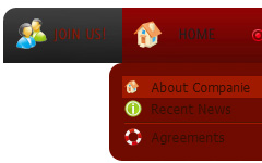 tab javascript code Css Horizontal Field