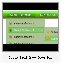 Apply Style Javascript How To Styling A Dropdown List